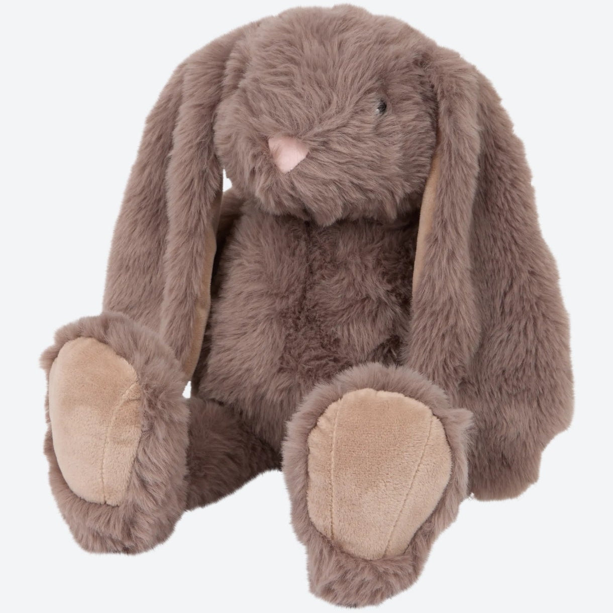 Lapin marron