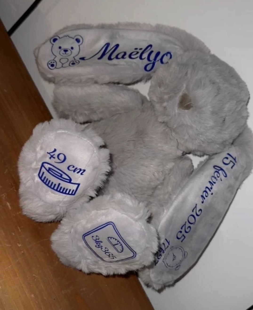 Lapin gris