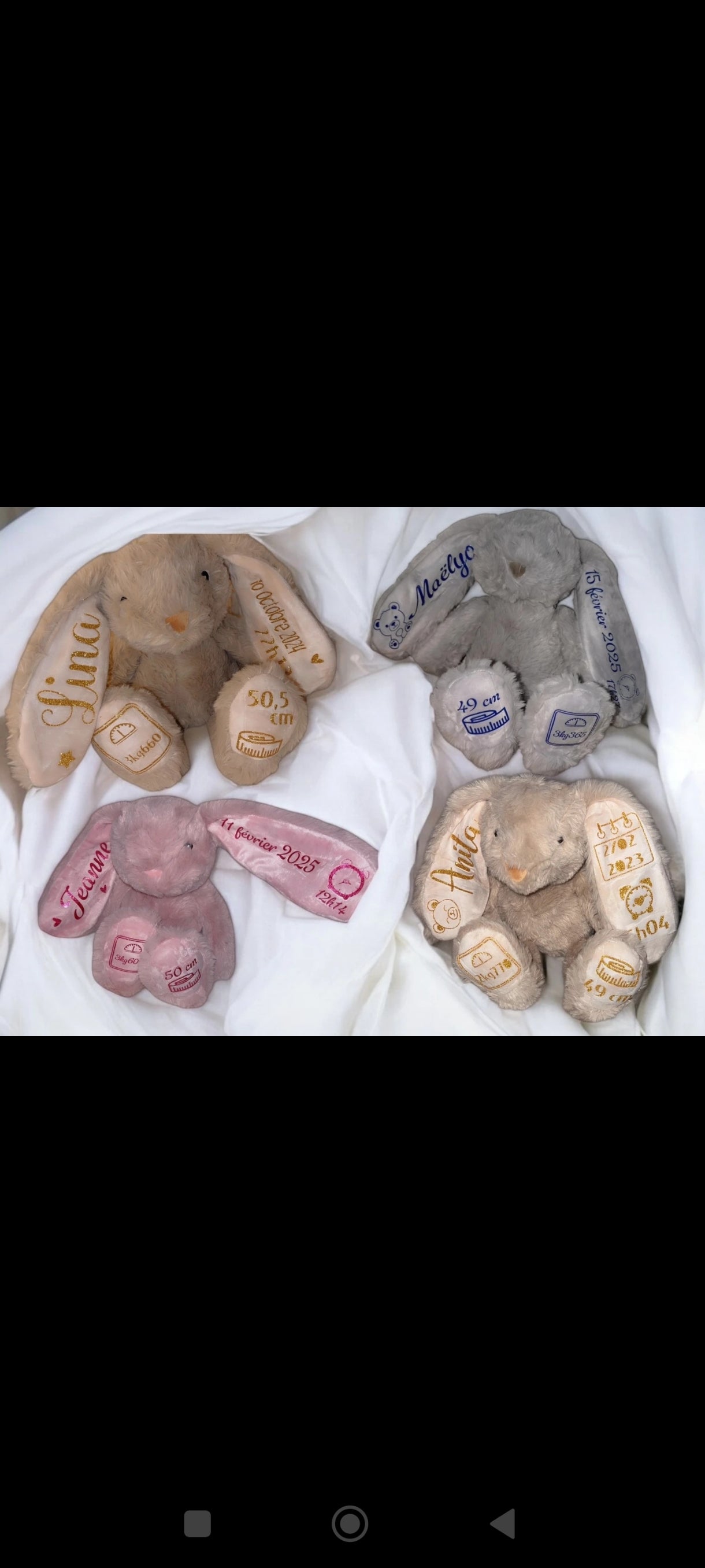 Lapins personnalisés